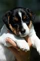 100628_rico syli